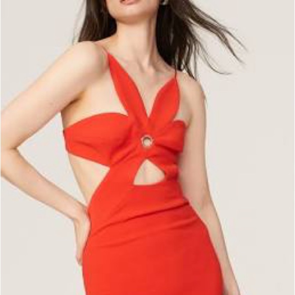Ronny Kobo Raiza Floral Cut Out Dress